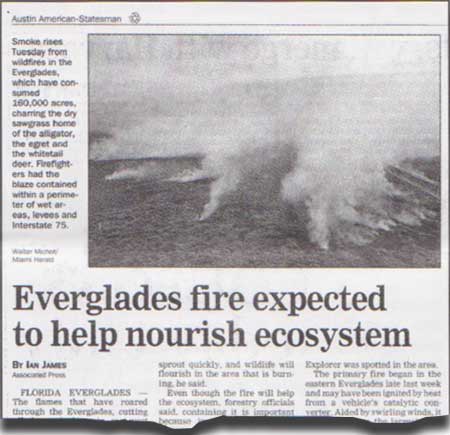 Everglades fire expected to help nourish ecosystem