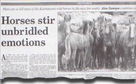 Horses stir unbridled emotions