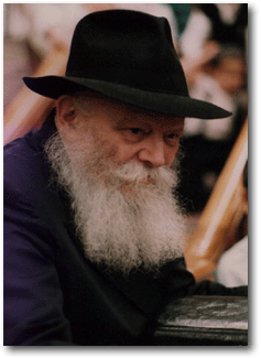 Rabbi Mendel Schneerson