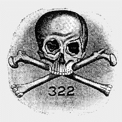 picture of Skull and Bones Logo
