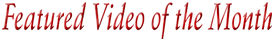 Featured Video of the Month