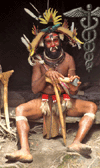 Witchdocotors of the Pharmaceutical Industry
