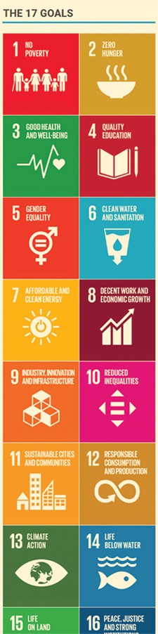 17 Goals for Sustainability